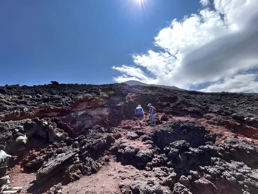 From Antigua: Pacaya Volcano Tour in English/Spanish - Language and group vibe: bilingual on paper, ask if you need specific help