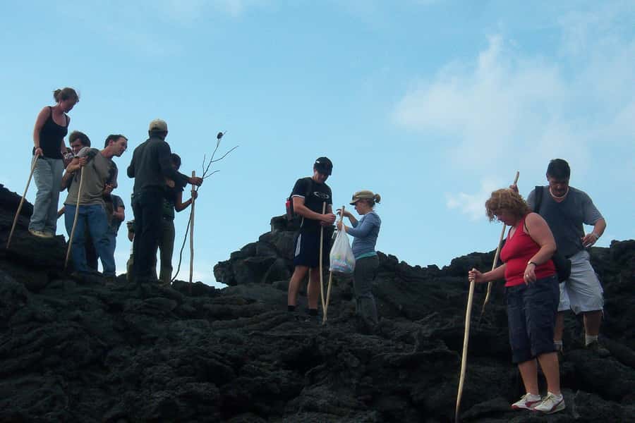 From Antigua: Pacaya Volcano Trek - Lava, steam baths, and roasting marshmallows with real heat