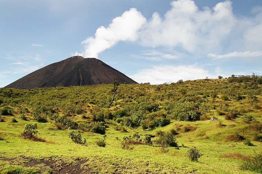 From Antigua: Pacaya Volcano Trek - Safety rules you should take seriously (and who should skip this tour)