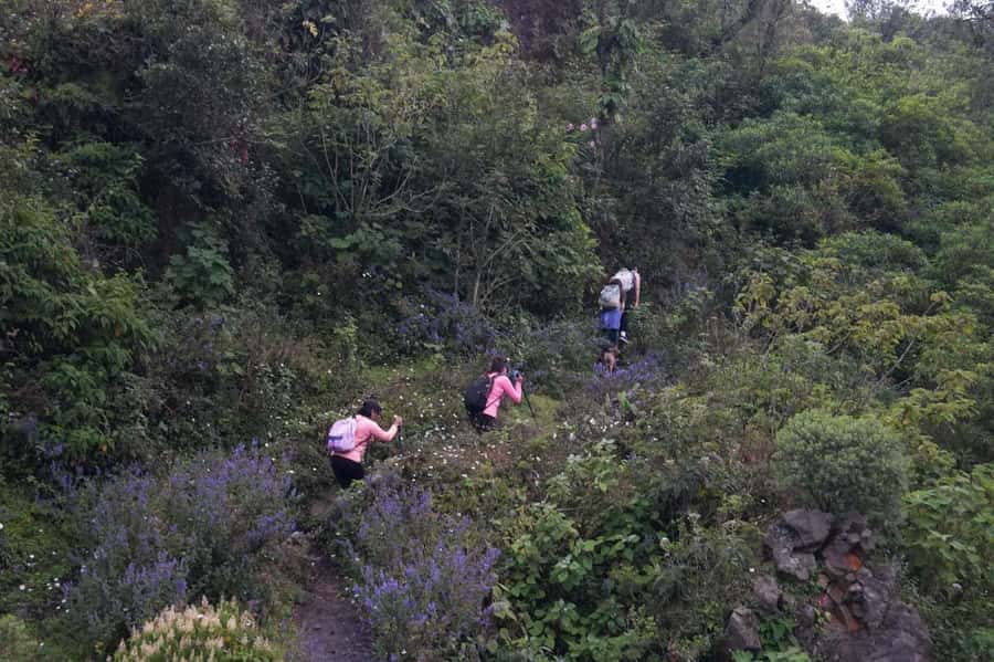 From Antigua to Pacaya Private Tour - The $20 horse ride option for a no-hike day