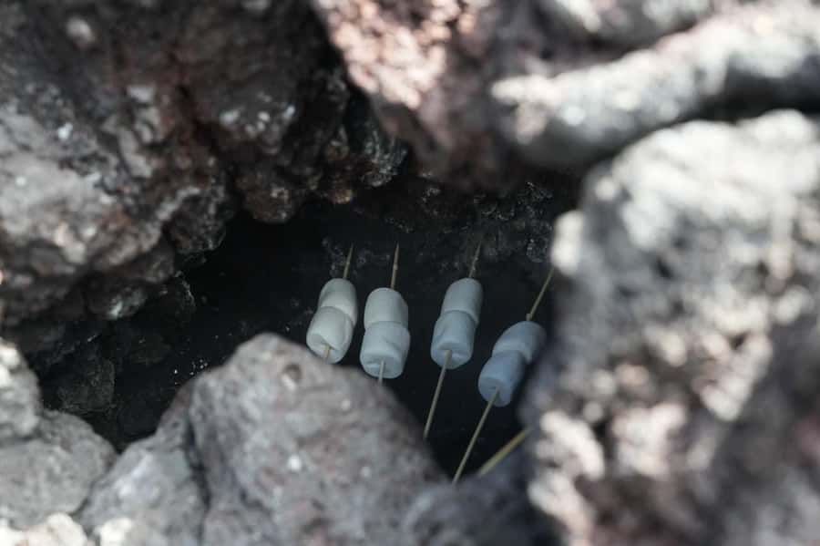 From Antigua to Pacaya Private Tour - Walking Pacaya: lava heat, marshmallows, and lake time