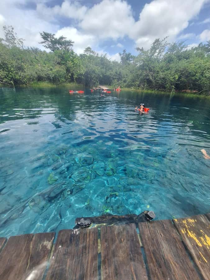 From Flores: Blue Crater Adventure All Inclusive - Price and value: does $155 feel fair?