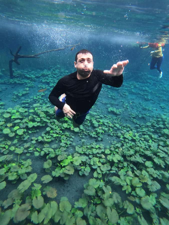 From Flores: Blue Crater All Inclusive - Key highlights worth knowing
