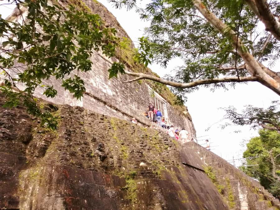 From Flores: Guided Tour to the Ruins of Tikal - Getting to Tikal: the early start from Flores