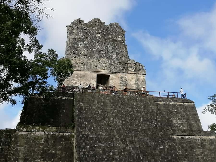 From Flores Guided Tour to Tikal with transportation + lunch - Tikal Visitor Center: Coffee, Orientation, and Quick Breathing Room