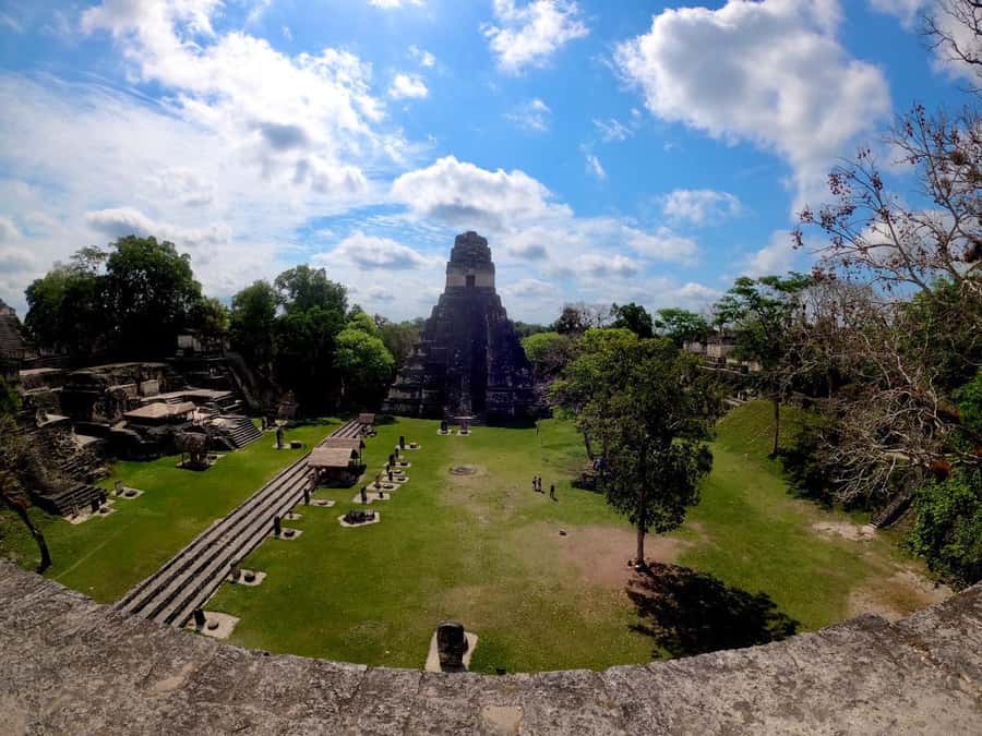 From Flores: Tikal Guided Tour with Transportation - Timing, Breaks, and the Real Pace of an 8-Hour Day