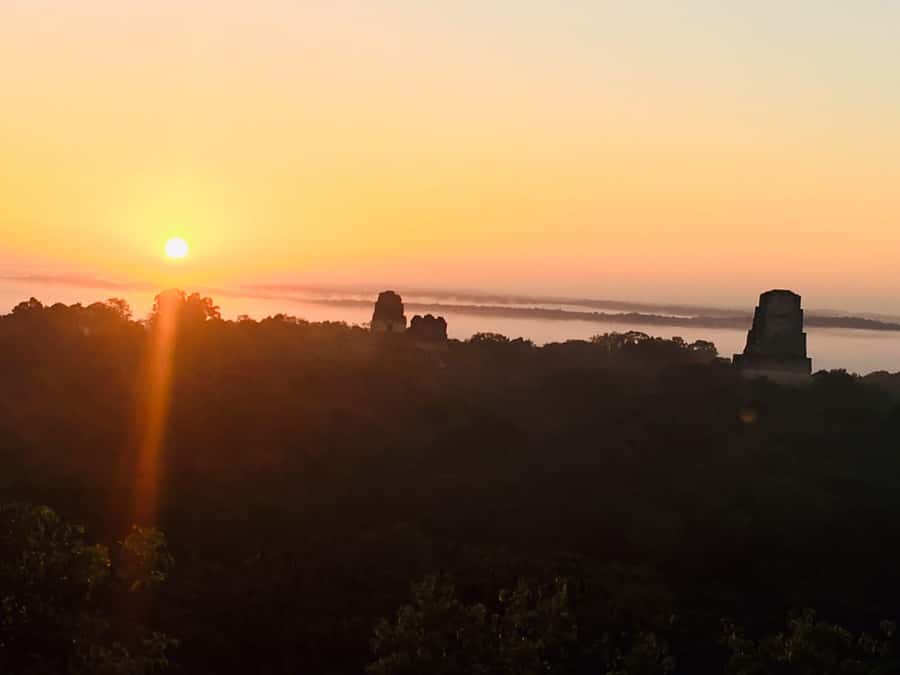 From Flores: Tikal Guided Tour with Transportation - What the Guide Adds, Beyond Facts