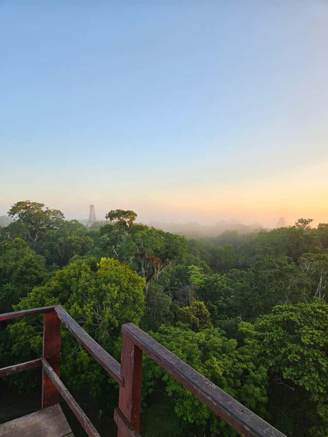 From Flores: Tikal National Park All Inclusive - Key highlights that make this trip worth it