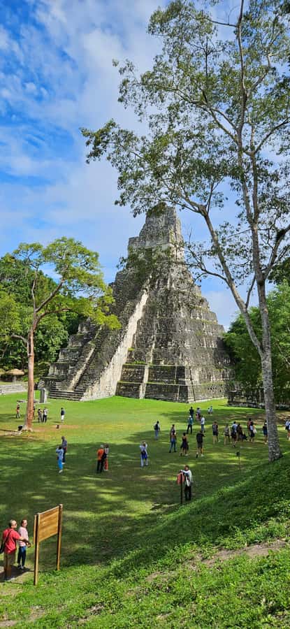 From Flores: Tikal National Park All Inclusive - Flores to Tikal, minus the guesswork