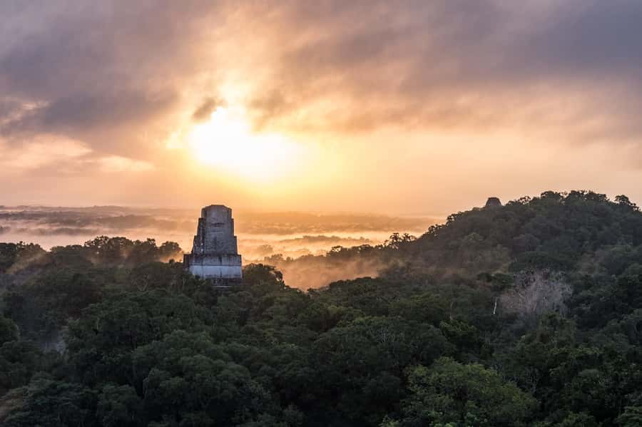 From Flores: Tikal Ruins Sunrise Guided Tour - Entrance fees and total cost: where the value really comes from