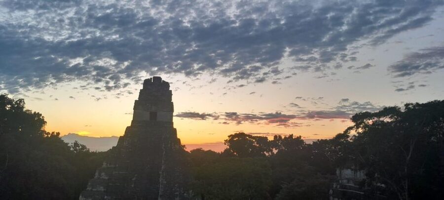 From Flores: Tikal Sunrise Archaeological Tour - Complex Q and Temple IV’s Neighborhood: Why Preservation Matters