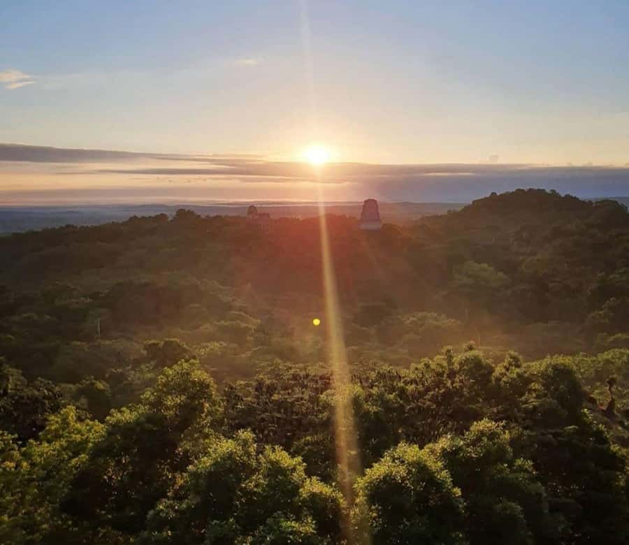 From Flores: Tikal Sunrise Extended Private Tour - Key Things I’d Put on Your Short List