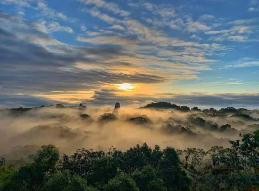 From Flores: Tikal Sunrise Extended Private Tour - Why Temple IV Sunrise Makes This Tour Worth It