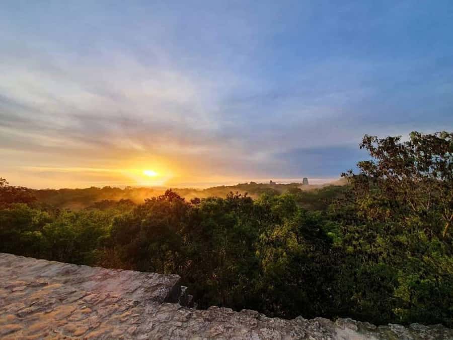 From Flores: Tikal Sunrise Extended Private Tour - 03:00 am Pickup, Flores to Tikal, and Why Staying in the Vehicle Helps