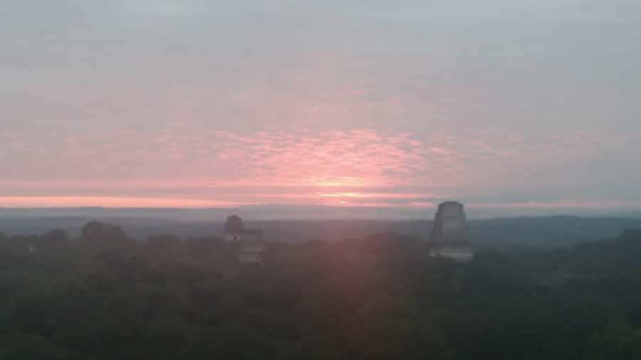 From Flores: Tikal Sunset Tour - Flores to Tikal: a smooth start that keeps the day fun
