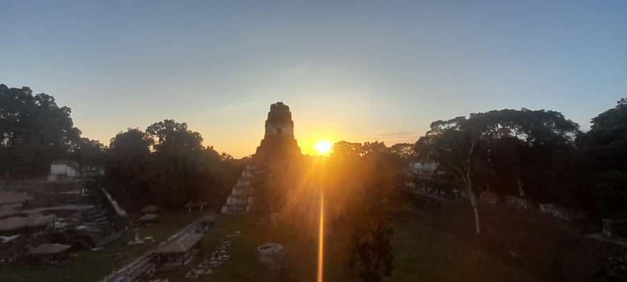 From Flores: Tikal Sunset Tour - Wildlife and jungle reality: what to expect in the park
