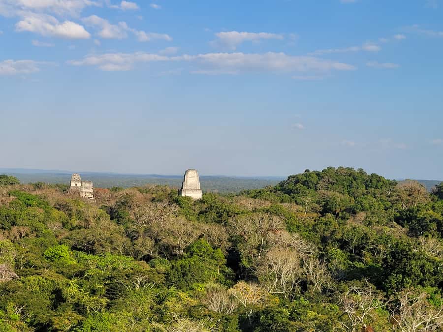 From Flores: Tikal VIP Exclusive cultural Tour All inclusive - Breakfast and lunch timing: what you really get during the day