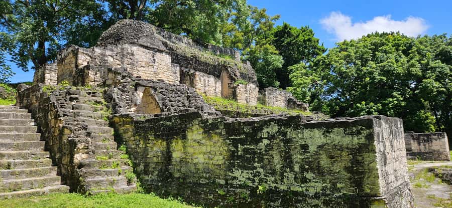 From Flores: Tour Tikal All Inclusive - Key things that make this tour worth your time