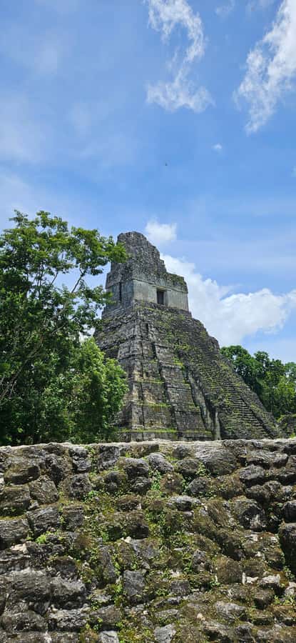 From Flores: Tour Tikal All Inclusive - First steps inside Tikal: a guided hike through Mayan space, not just a quick walk