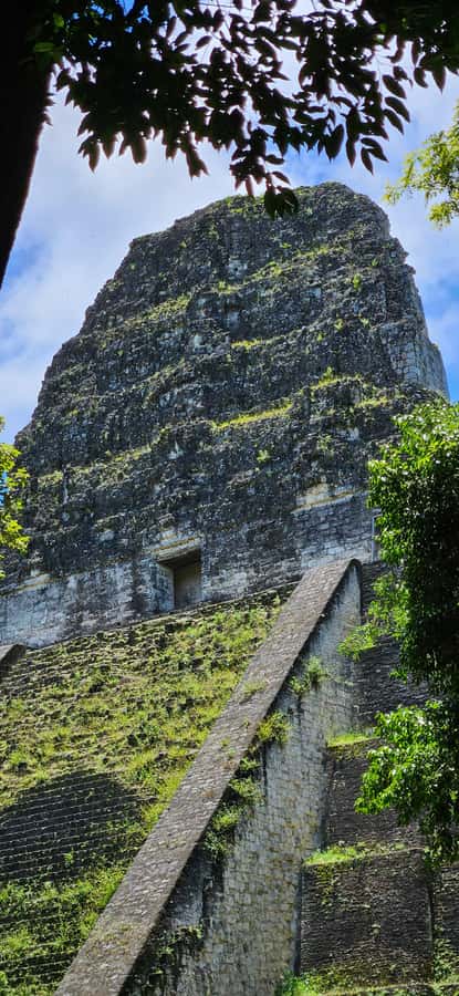 From Flores: Tour Tikal All Inclusive - What to bring for the hot Mayan grounds (and what is not allowed)