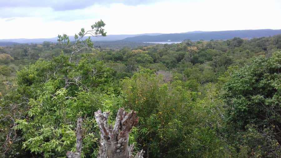 From Flores: Yaxha Ruins Guided Tour - Flores to Yaxha: the long ride you should plan for