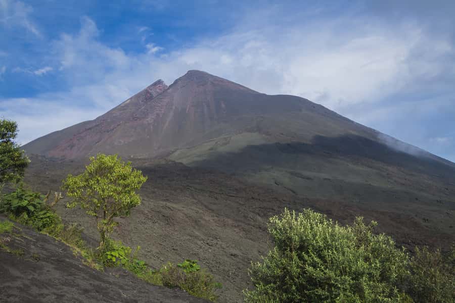 From Guatemala City or Antigua: Pacaya Volcano Day Tour - Walking Through Volcanic Sand Paths on the Way to the Plateau