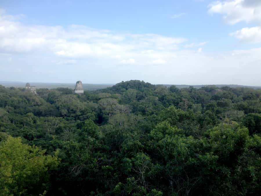 From San Ignacio: Tikal Maya Site Day-Trip with Local Lunch - Who should book this Tikal day trip, and who should skip it