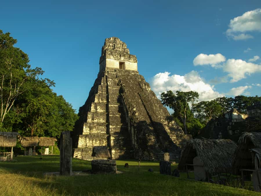 From San Ignacio: Tikal Maya Site Day-Trip with Local Lunch - Wildlife, jungle heat, and your clothing plan for real-world Tikal