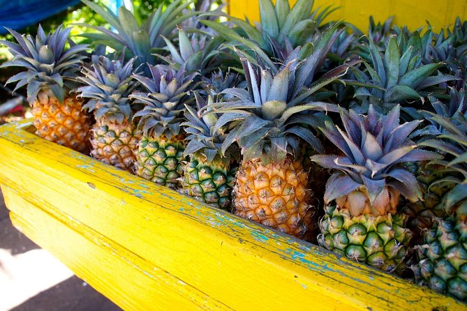 Half-Day Tour: A Taste of Paradise and History of Antigua - Shirley Heights: an 18th-century guard post with English Harbour views