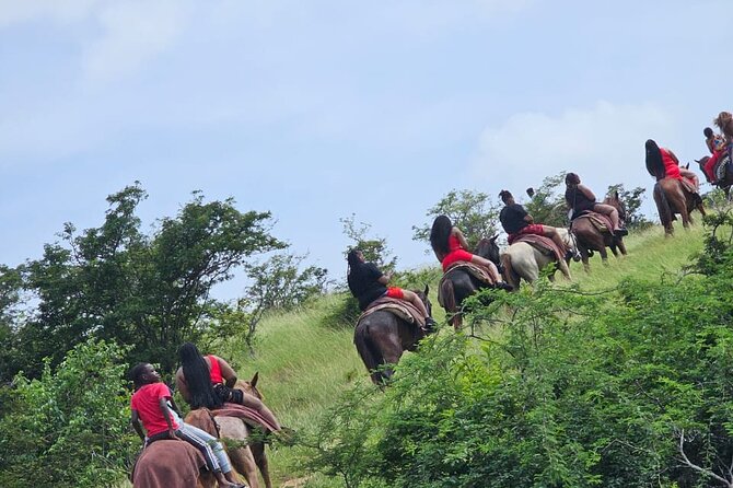 Horseback Riding at Hawksbill Beach in Five islands Antigua - Hawksbill Beach Time: White Sand, Sea Air, and a Calm Horse