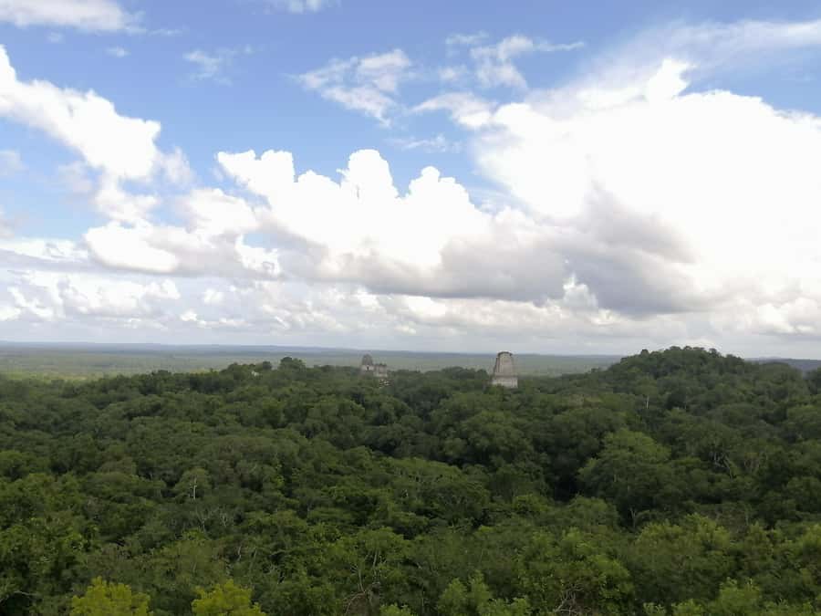 Impressive Tikal from Flores with Lunch - Lunch on the return, and how timing helps