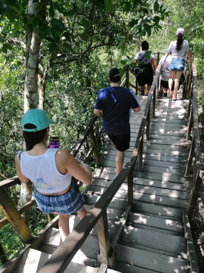 Impressive Tikal from Flores with Lunch - Price and tickets, where the real value is