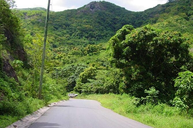 Island Safari 4x4 Discovery Tour from St John's - 4WD Comfort and Practical Tips for a Half-Day Safari