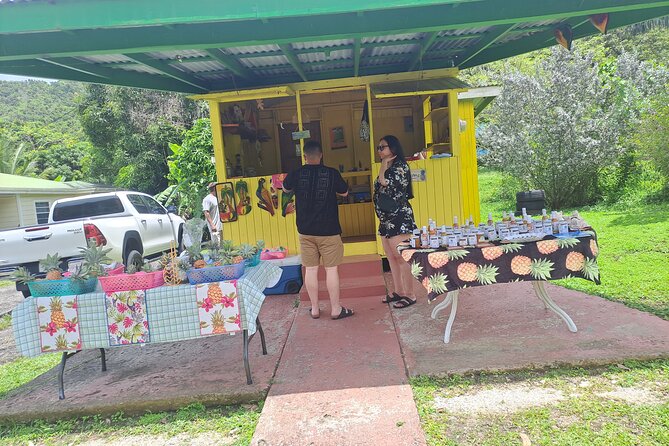 Island Tour - Why This Route Works: Antigua’s Stories in One Half-Day
