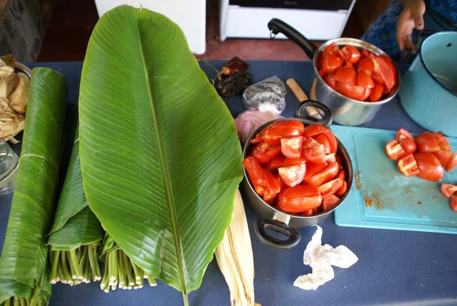 Lake Atitlan Maya Kitchen: 3-Hour Cooking Class - Meeting Your Instructors: Alfredo or Alicia, and English-Friendly Guidance