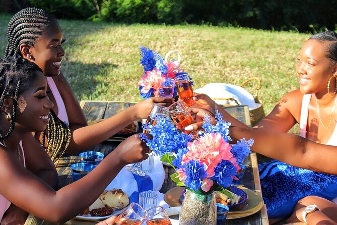 Luxury Private Picnic with Caribbean Cuisine - Logistics That Matter: Getting There and Staying Comfortable
