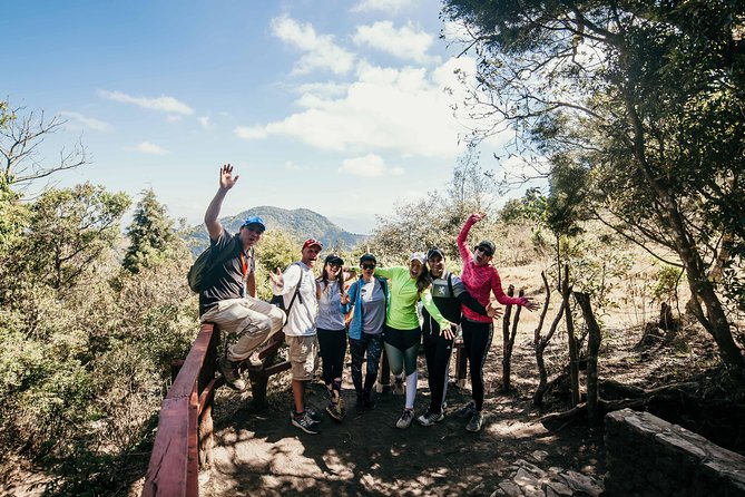 Pacaya Volcano Shared Hiking Tour - Horse rides: save energy, but confirm your plan early