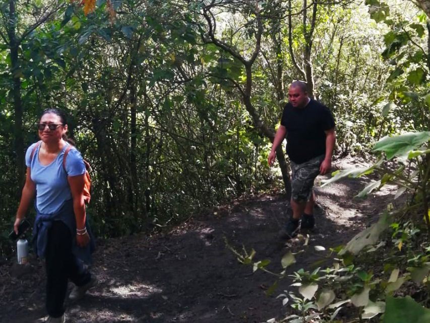 Pacaya Volcano Tour & Hot Springs from Guatemala City - Should you book this Pacaya Volcano and Kawilal Hot Springs day trip?
