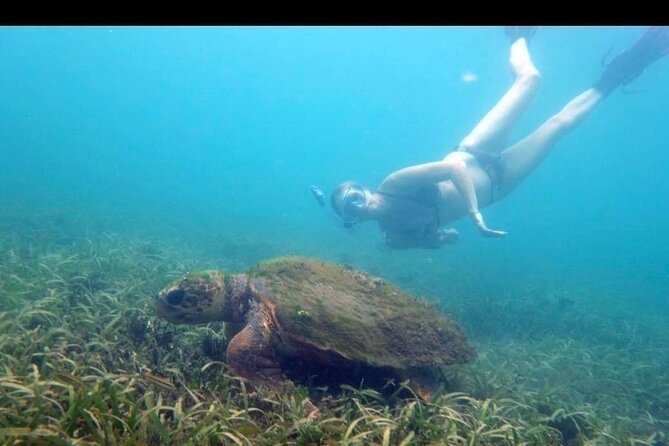 Private Snorkeling and Sightseeing Tour of Antigua - Nelson’s Dockyard: Where Antigua’s Harbor History Comes Into Focus