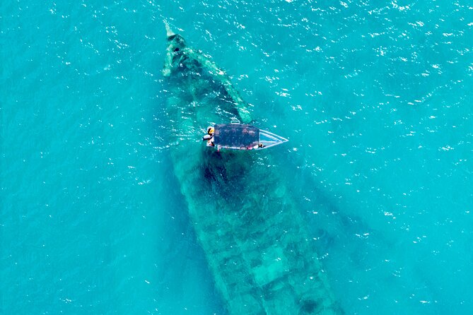 Reef Explorers Transparent Boat and Beach Tour - Key Highlights You’ll Feel From the Start