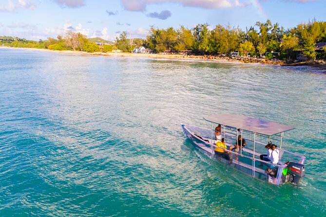 Reef Explorers Transparent Boat and Beach Tour - Getting the Most Out of the Transparent View