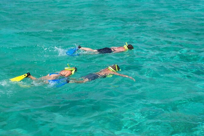 Sail and Snorkel at Cades Reef - BBQ lunch on board and the open bar after snorkeling
