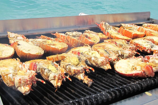 Sail and Snorkel at Cades Reef - Beach time in a secluded bay: what you can actually do