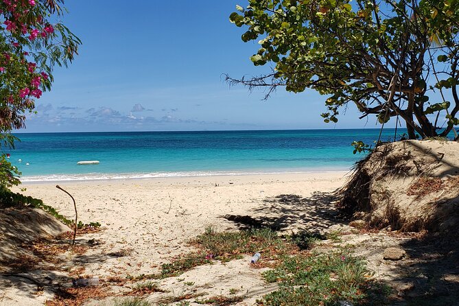 Salty Dogs UTV Adventure - What the UTV route feels like on Antigua’s south side