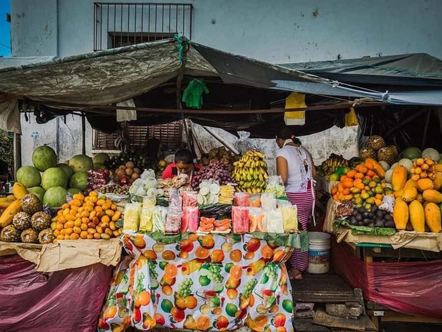 San Salvador: Full Day Ruta de Las Flores and Coffee Farm - Ruta de las Flores: Why This Route Feels Like a Best-Of Day