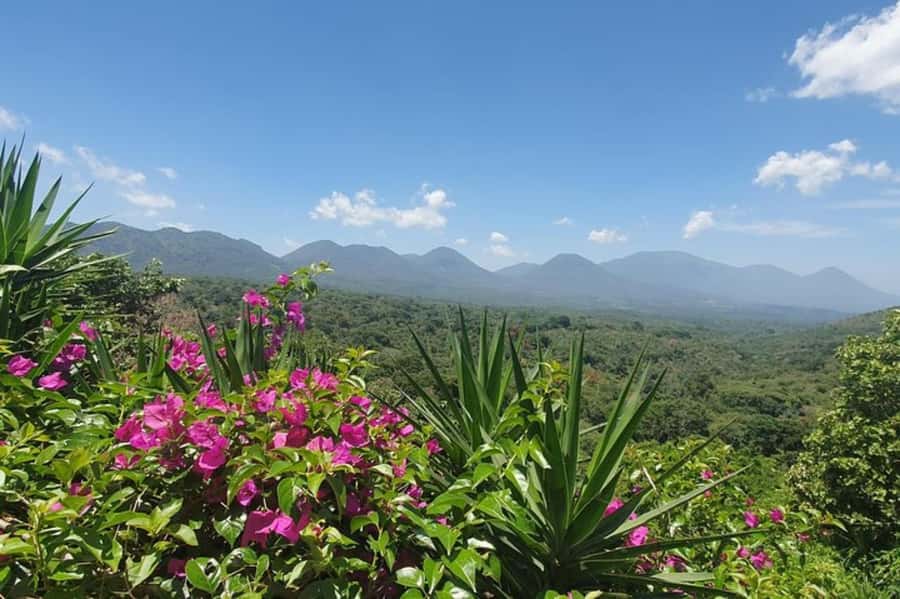 San Salvador: Full Day Ruta de Las Flores and Coffee Farm - From San Salvador: Private Pickup and Air-Conditioned Relief
