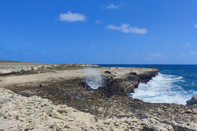 Scenic Full Day Tour of Antigua - Fig Tree Drive: fruit vendors, rainforests, and easy island color