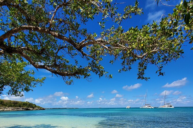 Snorkel - Lobster Lunch Cruise to Bird Island and Paradise Reef - Value check: is this Antigua snorkeling lunch cruise worth $185?