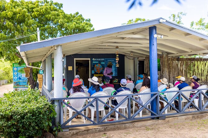 SoCoHo Eco Half Day - Mangrove Kayak & Reef Snorkeling - Guides, safety, and how the crew keeps the day fun