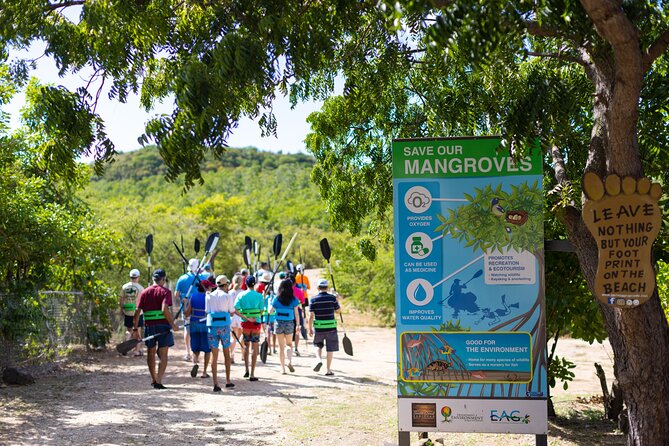 SoCoHo Eco Half Day - Mangrove Kayak & Reef Snorkeling - Price and value: why $135 can make sense here